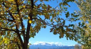 Pikes Peak in Fall