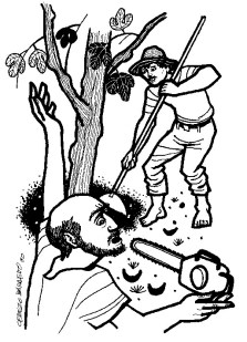 Barren Fig Tree.Luke 13.1-9