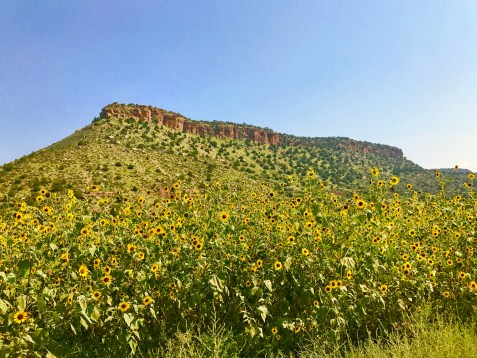 New Mexico Backroad 9.4.17
